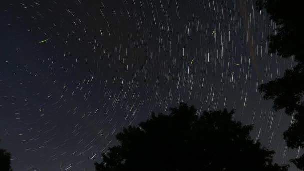 Star Trail Time Lapse Stars Moving Circular Pattern Fireflies Lightning — Stockvideo