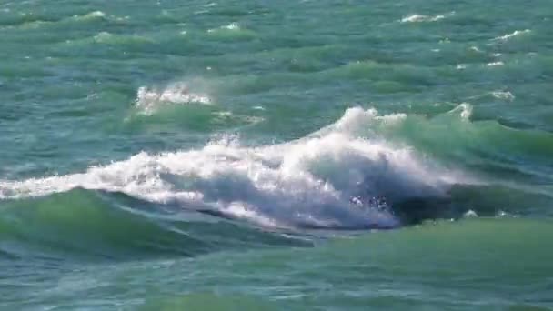 Close Panning Shot Tracking Wave Turquoise Colored Waters Lake Michigan — Vídeo de Stock