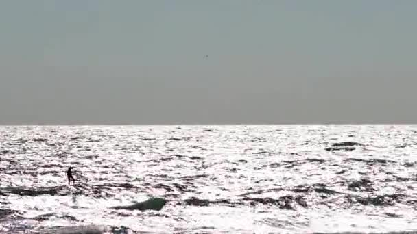 Chicago July 9Th 2022 Kite Surfer Uses Hydrofoil Board Sail — Αρχείο Βίντεο