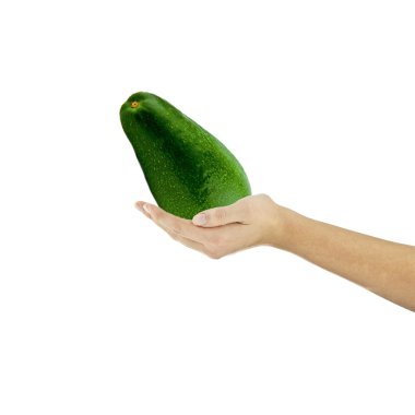 Avokado meyve organik el parmak tutun diyet tarifleri izole sağlıklı salata vejetaryen yemek kitabı diyet