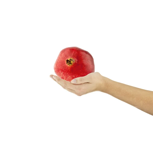 石榴红有机水果手手指抓住饮食食谱健康沙拉孤立素食 cookbo — 图库照片