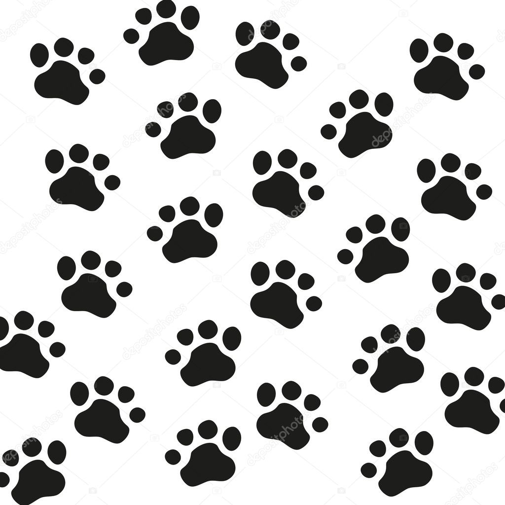 Animal Paw Print Chart
