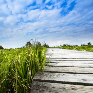 yüksek venn boardwalk trail Belçika eifel doğa parkı moorland bulutlar turizm