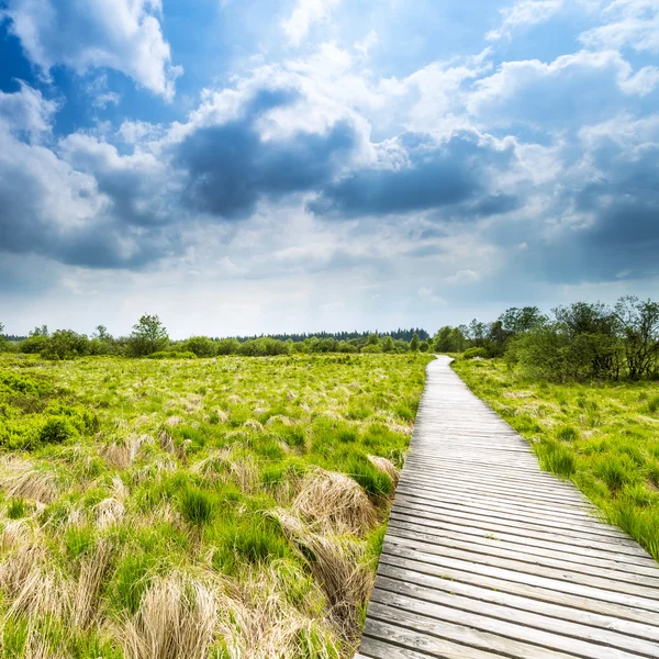 High venn boardwalk trail Belgium Eifel nature park moorland clouds tourism — Stock Photo, Image