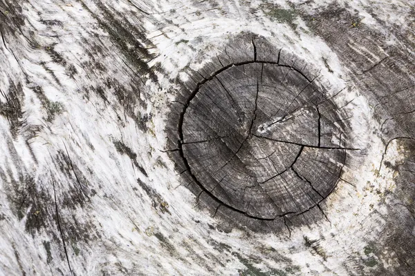 Estrutura de árvore padrão de madeira de nó textura de grão de madeira velha madeira folheado material prancha driftwood — Fotografia de Stock