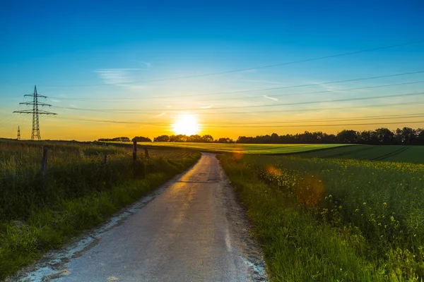 Lane naplemente nemi erő vonal pilon alkonyatkor mezőgazdasági táj nyári Búzamező — Stock Fotó