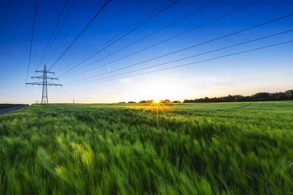 Niwa zachód zasilania linii pylon zmierzch gospodarstwa krajobraz lato pole pszenicy — Zdjęcie stockowe