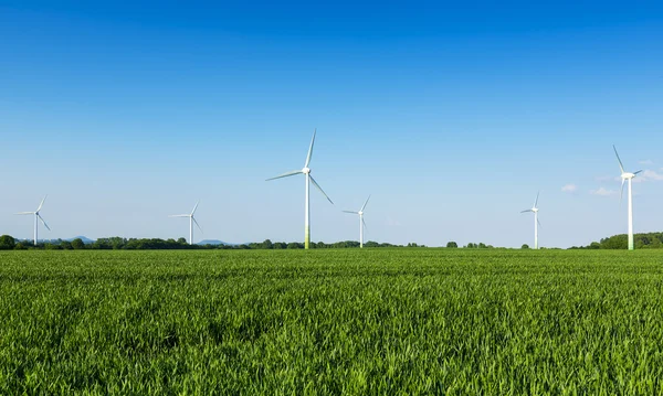 Windmühlen Feldbau Windmühle Windkraftanlage Windpark Elektrizität Energiewirtschaft Öko Bio — Stockfoto