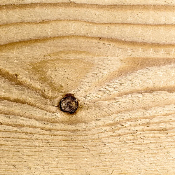 Pattern old wood grain texture hardwood year rings material plank — Stock Photo, Image