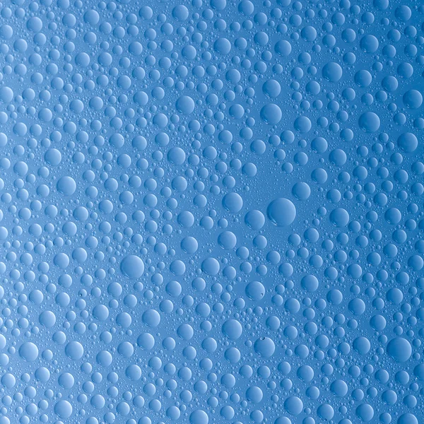 Air tetes embun efek nano efek lotuseffekt Kehamilan biru menahan deflektor hujan — Stok Foto