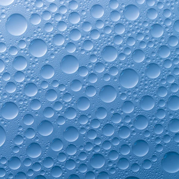 Air tetes embun efek nano efek lotuseffekt Kehamilan biru menahan deflektor hujan — Stok Foto