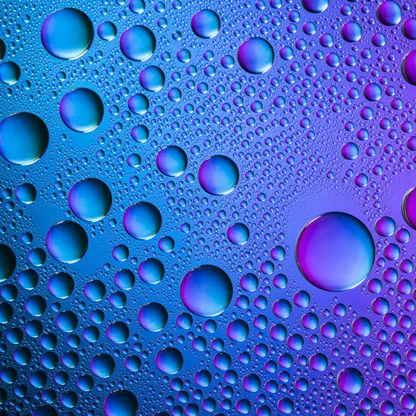 Gocce d'acqua spettrale blu verde viola colori gradiente arcobaleno colorato perline lotuseffekt tau tenuta — Foto Stock