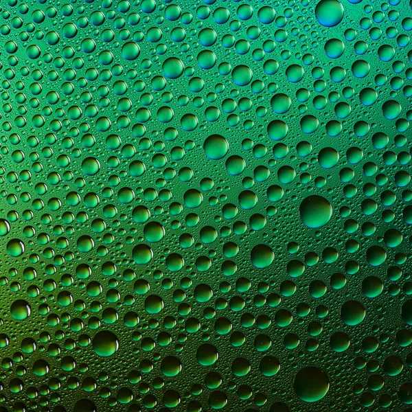 Waterdrops spectral gradient green nature black colors rainbow colorful beading lotuseffekt tau sealing — Stock Photo, Image