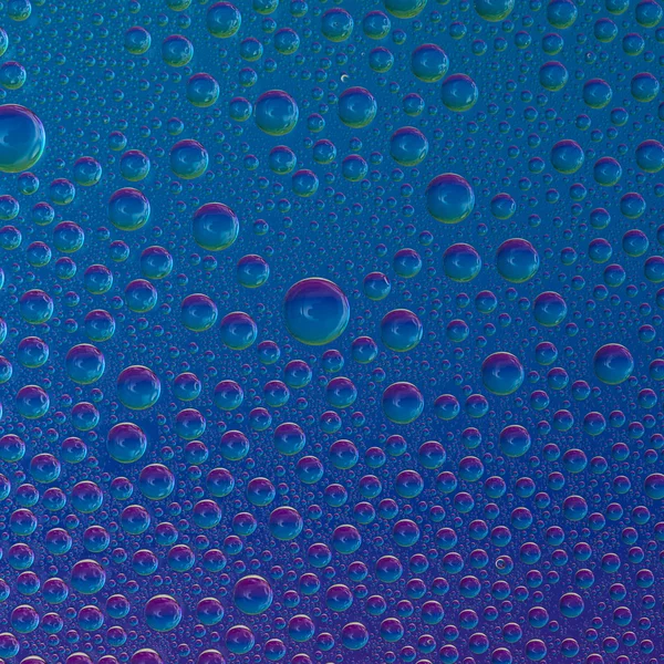 Spektral degrade mavi okyanus mor renk gökkuşağı renkli boncuk lotuseffekt tau sızdırmazlık su damlaları — Stok fotoğraf