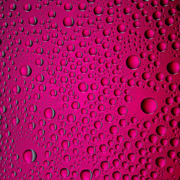 Water drops spectral gradient pink purple colors rainbow colorful beading lotuseffekt tau sealing — Stock Photo, Image