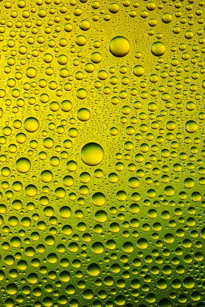 Waterdrops spektral degrade altın sarı yeşil doğa renkleri gökkuşağı renkli boncuk lotuseffekt tau sızdırmazlık — Stok fotoğraf