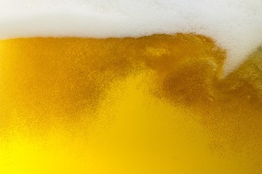 Beer beerfoam beerglass gold foam crown foam wave oktoberfest alcohol brewery restaurant pils clipart