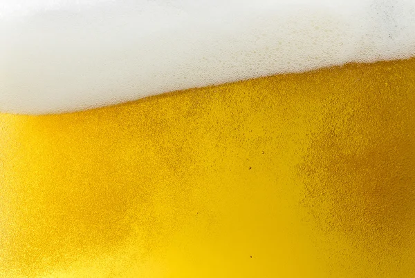 啤酒 beerfoam 啤酒杯黄金泡沫冠泡沫波啤酒酒精啤酒餐厅 pils — 图库照片