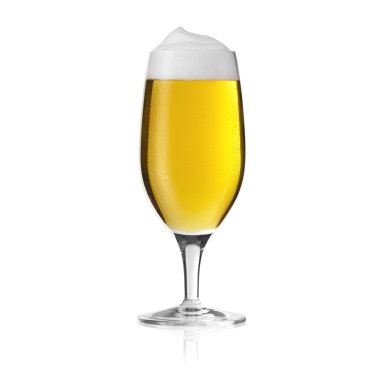 Pils beer glass mushroom dew drop beer froth foam crown gold alcohol brewery Gastro isolated clipart