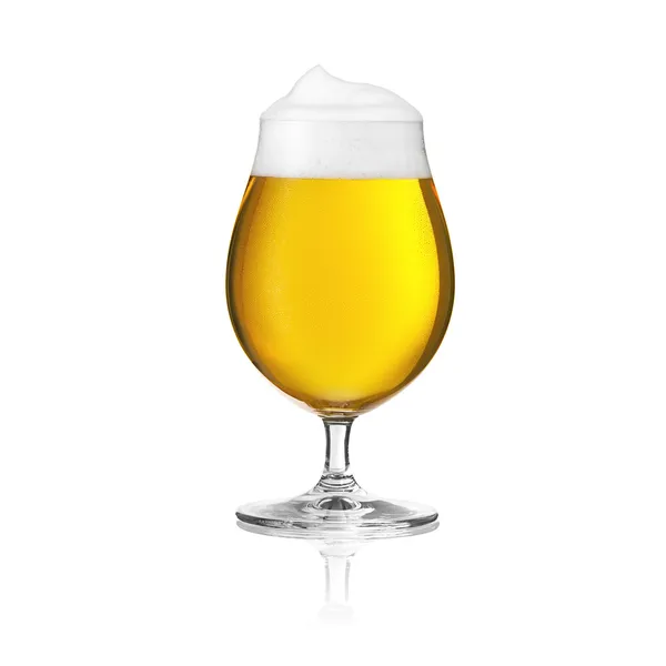 Beer glass beer tulip beer froth dew drops sparkling crown gold Altbier brewery alcohol pils isolat — Stock Photo, Image