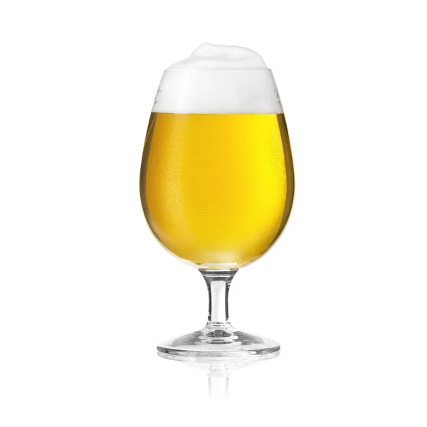 Pils bier tulip bier glas bier schuim dew drop paddestoel schuim kroon altbier gouden alcohol brouwerij — Stockfoto