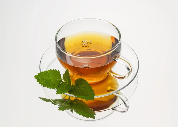 Mátový čaj sklo nápoj máta šálek izolované horký nápoj horký výřez aroma pára — Stock fotografie