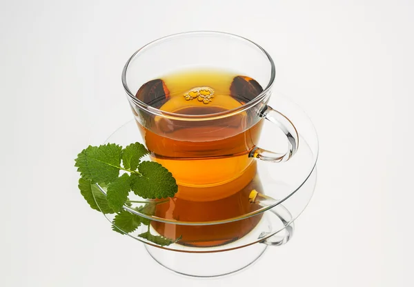 Mint tea glass drink peppermint teacup isolated hot drink hot cutout aroma steam — Stock Photo, Image