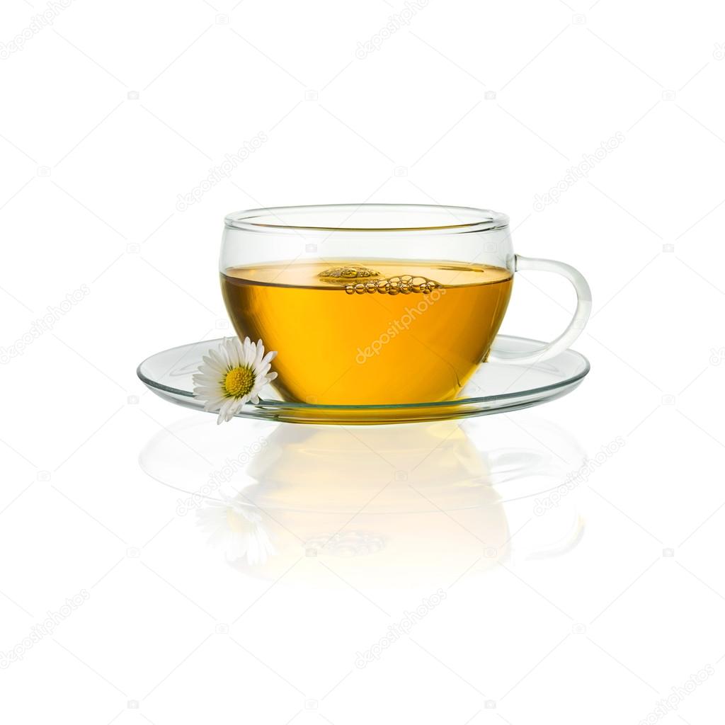 Chamomile tea glass daisy drink mugs isolated hot drink cold-hot cutout