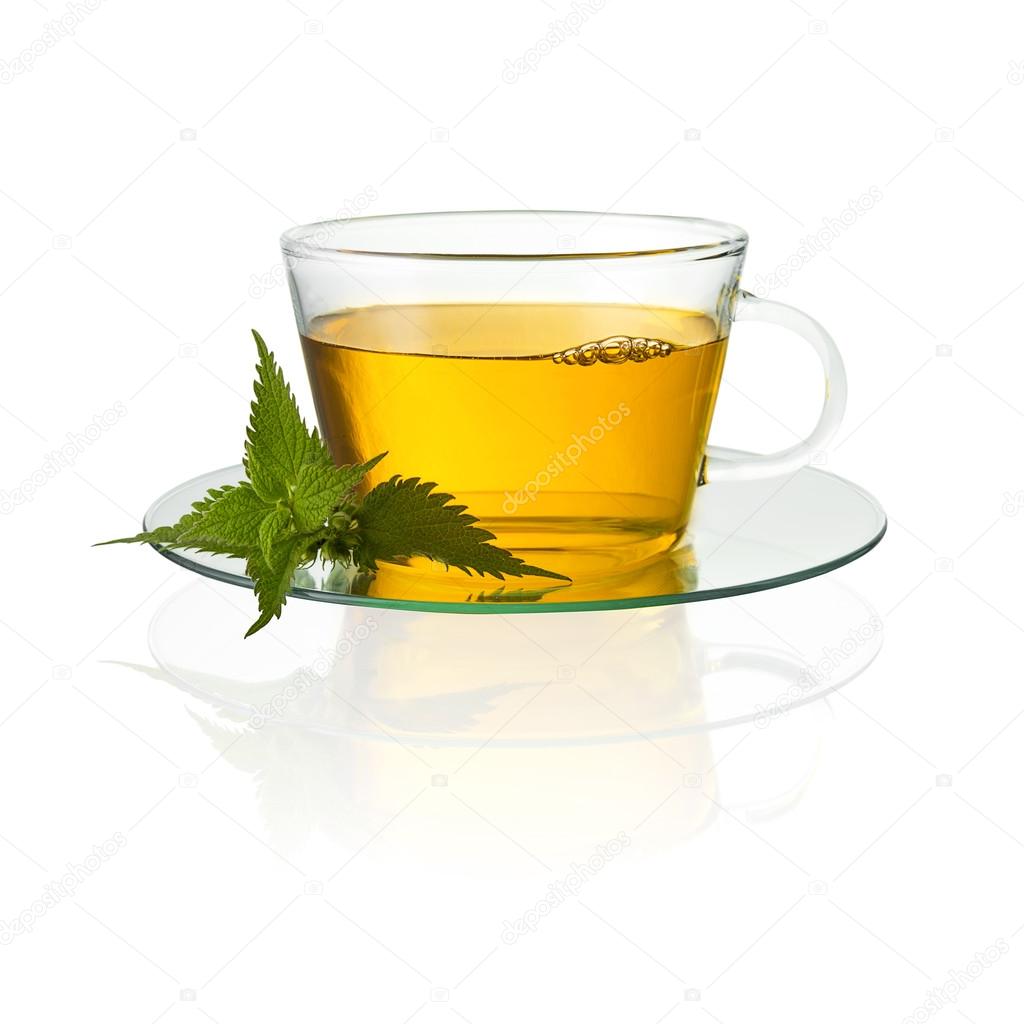 Tea glass cup drink nettle medicinal plant isolated hot drink cold-hot free agency