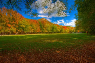 Pinnacle Mountain State Park
