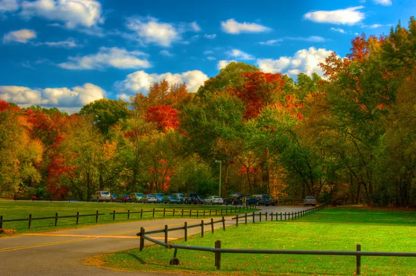 Pinnacle Mountain Park - Fall — Stock Photo, Image