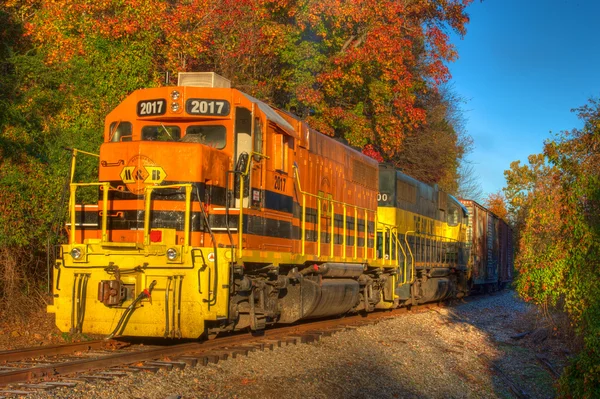 Freight Train Locomotive — Stock Photo, Image