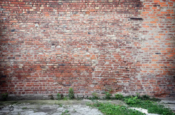 Brick wall with concrete floor Royalty Free Stock Photos