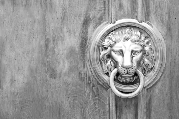 Leeuw hoofd deur knocker, oude knocker — Stockfoto