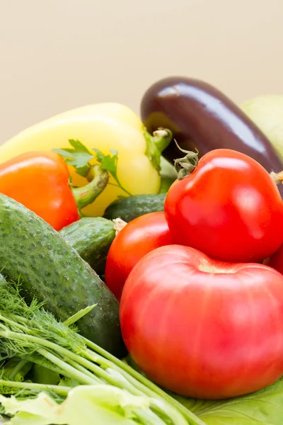 Variedade de produtos hortícolas frescos — Fotografia de Stock