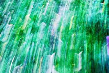 sonbaharda doğanın arka plan bulanık