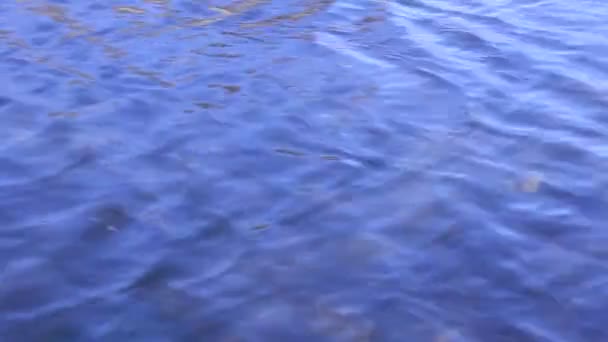 川の水の波 — ストック動画