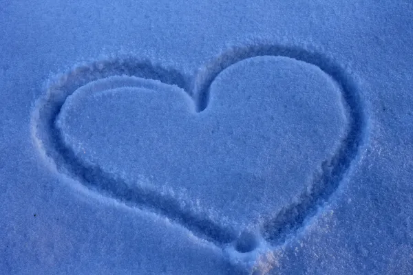 Hart in de sneeuw — Stockfoto