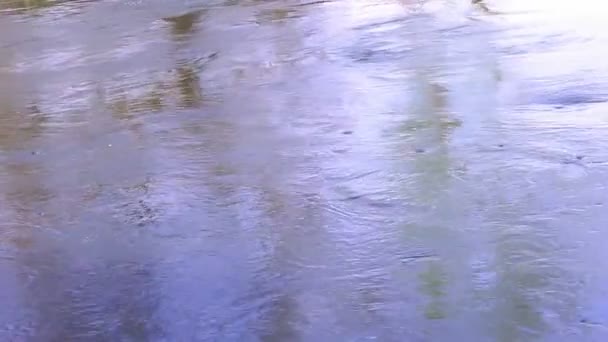 Strömmande vatten i floden — Stockvideo