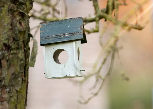 Wooden Bird Feeder House Tree — Stock Photo, Image