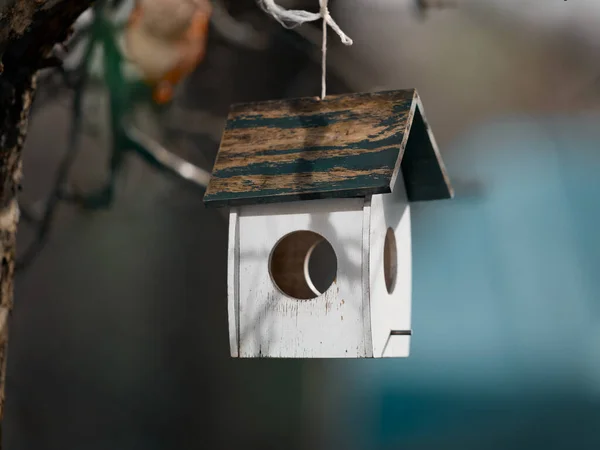 Bird Feeder House Isolated Blurred Background — Stock Photo, Image