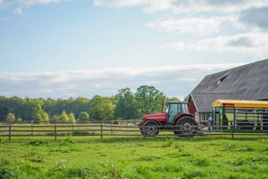 Çiftlikte büyükbaş hayvan taşıyan bir traktör.