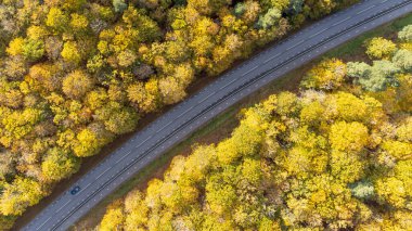 İsveç 'te sarı ve turuncu sonbahar ormanlarında mavi arabalı kırsal yol manzarası.