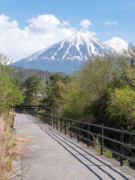 Japonya 'nın Yamanashi kentindeki Yamanaka Gölü' nde sonbaharda yürüyüş yapan Fuji Dağı 'nın manzara görüntüsü..