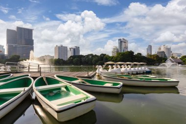 Nature Lake in the public park at city center with business buildings background, Bangkok, Tayland