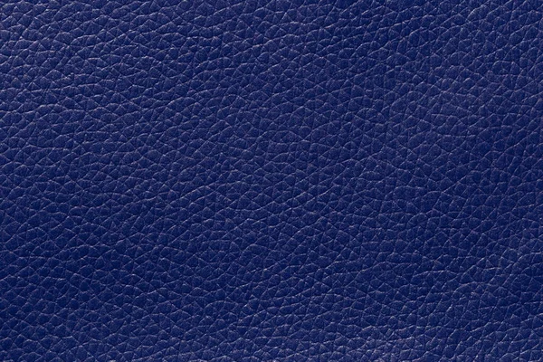 Primo Piano Una Pelle Blu Scuro Sfondo Strutturato — Foto Stock