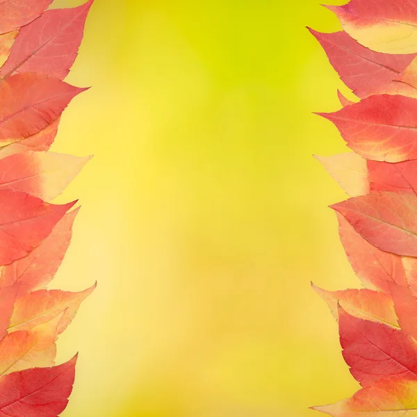 Red and yellow leaves on yellow background — Stock Photo, Image