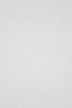 Beyaz canvas arka plan