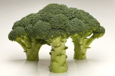 brokoli