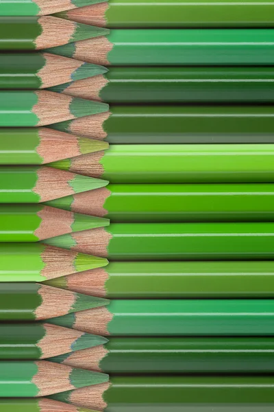 Green pencils background — Stock Photo, Image